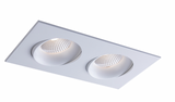 LUNA LED 2-Light