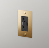 Single Gang Outlet with USB Charger