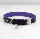 DOG COLLAR/LARGE