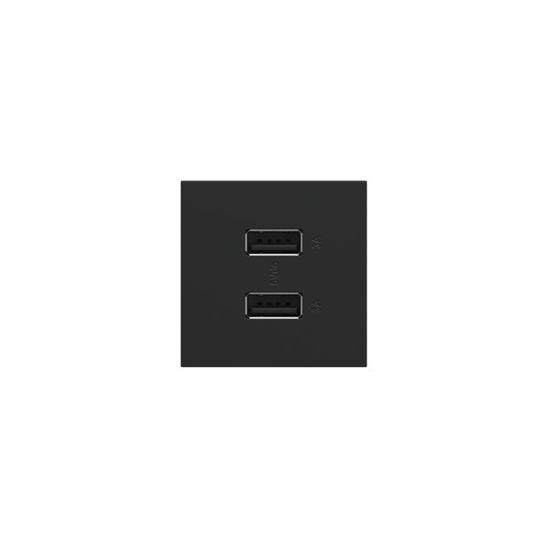 Full-Size, A/A USB Outlet, Graphite