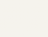 LUTRON SATIN COLOURS-Brilliant White BW