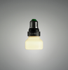 Punch Bulb