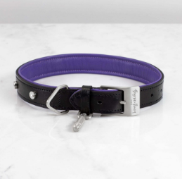 DOG COLLAR/SMALL
