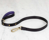 DOG LEAD 1" Width