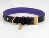 DOG COLLAR SMALL + DOG LEAD