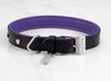 DOG COLLAR SMALL + DOG LEAD