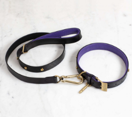 DOG COLLAR MEDIUM + DOG LEAD