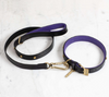 DOG COLLAR MEDIUM + DOG LEAD