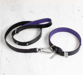 DOG COLLAR LARGE + DOG LEAD