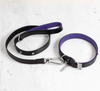 DOG COLLAR MEDIUM + DOG LEAD
