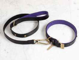 DOG COLLAR X-SMALL  + DOG LEAD