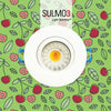 3" Sulmo LED w/95CRI & Soft Glow- Soffit Lighting PROMO