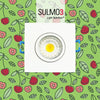 3" Sulmo LED w/95CRI & Soft Glow- Soffit Lighting PROMO